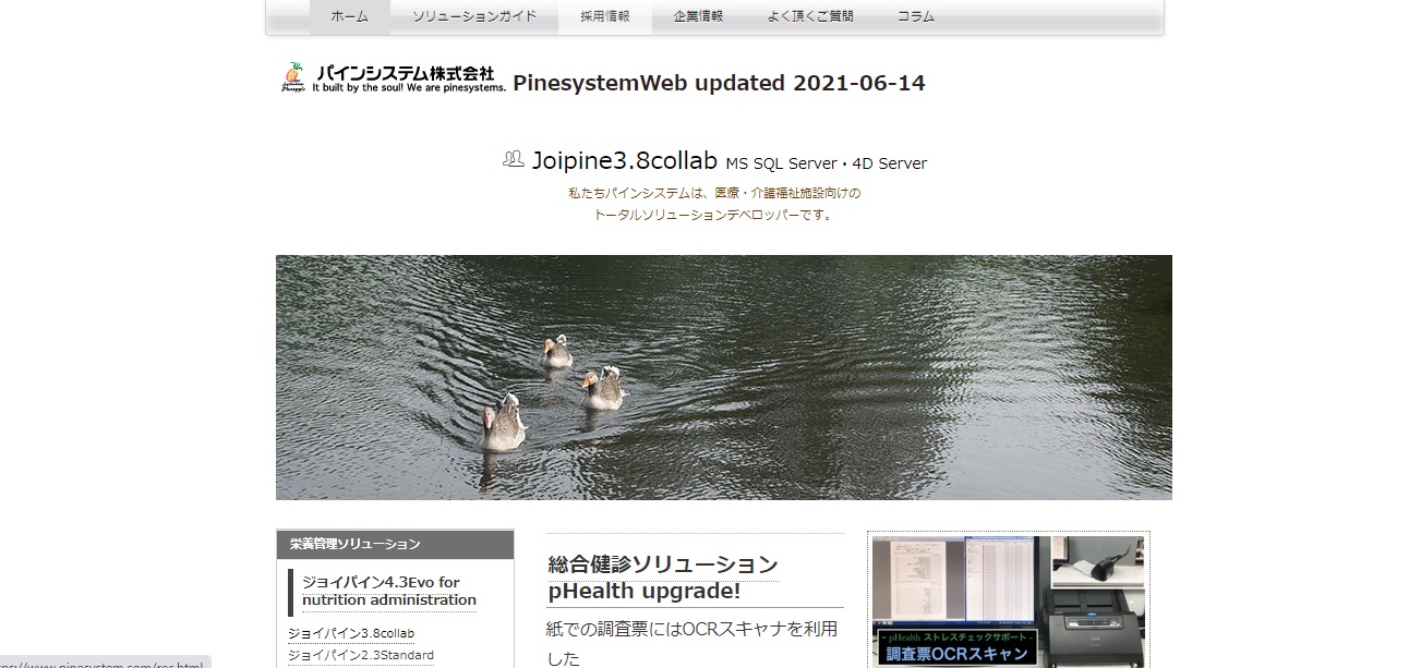 パインシステム株式会社公式HPキャプチャ