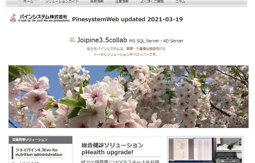 パインシステム公式HPキャプチャ